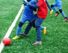 吸纳外籍选,手夺金,背后或有深,亚博体育,亚博体育官网,亚博体育app,亚博体育下载